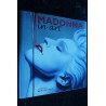MADONNA  * HISTOIRE D'UNE ICONE *  David FOY  * 160 pages   *  2013
