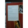 BAD GIRLS HOTEL BOB COULTER GOLIATH 2005 372 PAGES