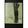 PLAYBOY POSTERS LA COLLECTION COMPLETE EDITIONS DE LA MARTINIERE 2008
