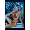 SAMANTHA FOX CP SERIE CHANTEUR N° 96 SAMANTHA FOX Carte postale  10,5 x 15