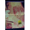 STAR FAN 13 MADONNA LA DERNIERE LEGENDE ALBUM COLLECTION 100 PAGES 2012 SOUPLE
