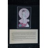 EO CARTES POSTALES EROTIQUES BARBARA JONES ET WILLIAM OUELLETTE HUMANOIDES ASSOCIES 1977