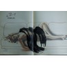 PARIS HOLLYWOOD 72 PIN-UP ROGER BRARD + CALQUE GERALDINE BROOKS BACCHANALES NUS