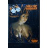 PARIS HOLLYWOOD 84 PIN-UP DESHABILLABLE ROGER BRARD + CALQUE FRENCH CANCAN HOT