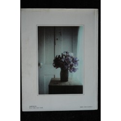 MOODS  *   1980  *   ROBERT FARBER  *  amphoto  *  112 pages *   Hardcover