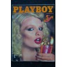 PLAYBOY 060 1978 NOVEMBRE SPECIAL 5éme ANNIVERSAIRE SIEFF BAGHEERA MATRA GIRLS NUE BUNNIES 1978
