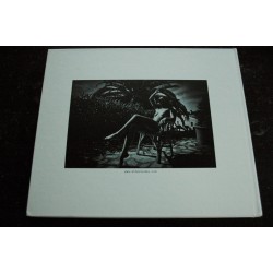 Nude for your eyes by Olivier De Rycke  * RARE * 2012 *  Blurb  *   Grand Format Luxe Relié