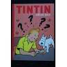 TINTIN album-jeux Editions MOULINSART 2005 72 PAGES + MAGNET TINTIN GRATUIT