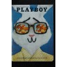 PLAYBOY US 1967 06 JUNE 007'S ORIENTAL EYEFULS PLAYMATE JOEY GIBSON THE HISTORY OF IN CINEMA THE NUDIES