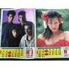 Salut ! 1988 01 N° 5 Indochine Vanessa Paradis David Hallyday + posters calendrier A-Ha Indochine Samntha Fox Sophie Marceau