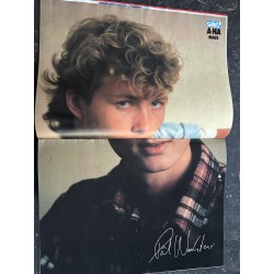 ylèSALUT ! 1987 11 N° 317 3 poster A-Ha Sylvester Stallone Rambo III France Gall Madonna Who's That Girl ? Sandra Los Lobos