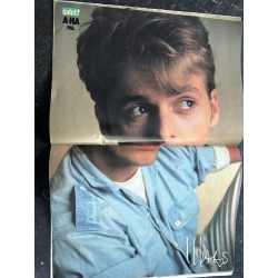 ylèSALUT ! 1987 11 N° 317 3 poster A-Ha Sylvester Stallone Rambo III France Gall Madonna Who's That Girl ? Sandra Los Lobos