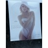 PLAYBOY CALENDRIER 2016 Playmate Calendar 12 playmates