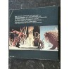 L'écran fantastique n°  2  - 1977  -  Star Wars Georges Lucas George A. Romero Cronenberg Subotsky Peter Lorre