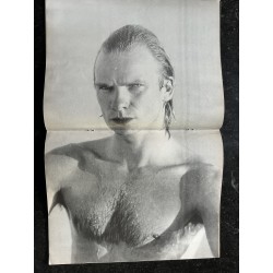 ROCK en STOCK  1981 N° 46 The Police Sting - Stray Cats - Urban Sax - Bernard Lavilliers