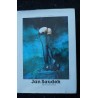 JAN SAUDEK THEATER DES LESBENS 138 PAGES PANORAMA 1991 + JACQUETTE